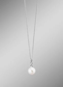 Anhänger mit Panzerkette