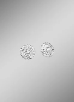 Exquisite Ohrstecker