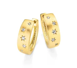 Hinreißendes Paar Creolen