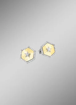 Ohrstecker in Bicolor mit 2 Brillanten und 60 Diamanten