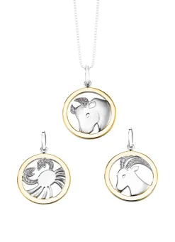 Sternzeichen-Anhänger