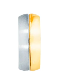 Tolle Klappcreolen in Bicolor, Hochglanz/satiniert